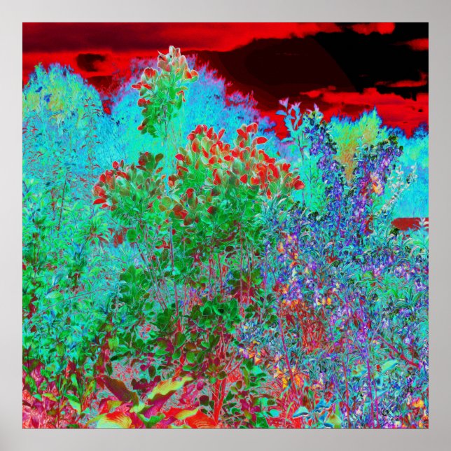 Färglös Abstrakt Garden med Crimson Sunset Poster (Framsidan)