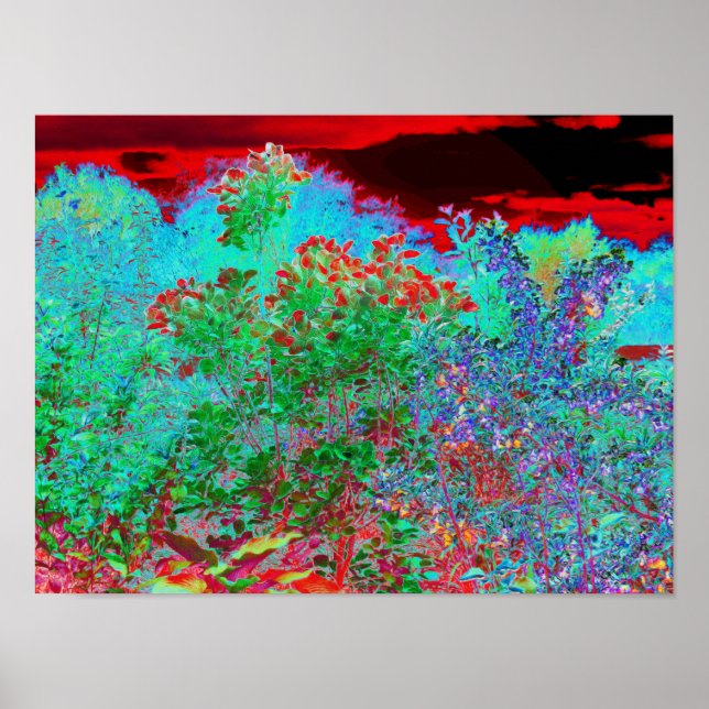 Färglös Abstrakt Garden med Crimson Sunset Poster (Framsidan)