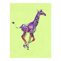 färglös baby giraffe