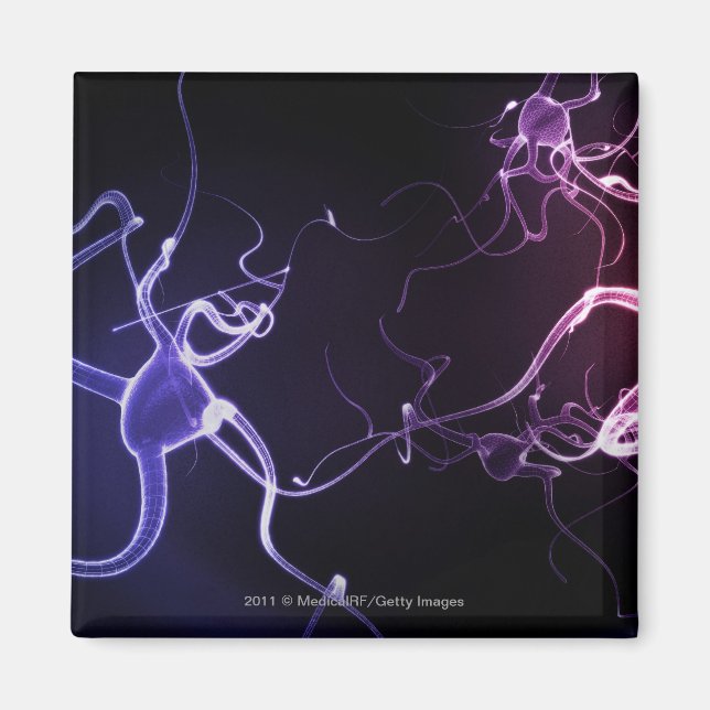 Färglös beskrivning av neuroner magnet (Framsidan)