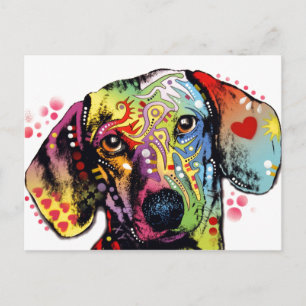 färglös Dachshund art Vykort