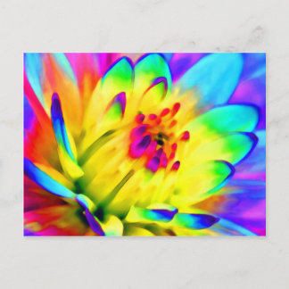 färglös dahlia vykort