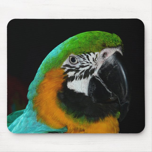 Färglös Grönt Parrot Musmatta (Framsidan)