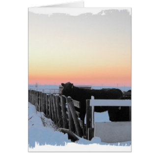 Färglös koka hälsningskort