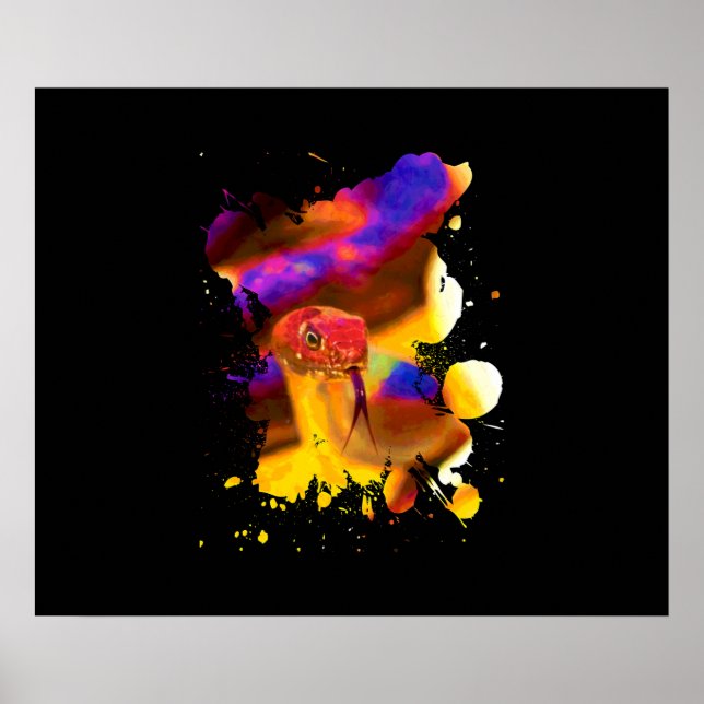 Färglös orm poster (Framsidan)