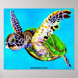 färglös sköldpadda poster