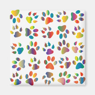 färglös tass mönster magnet