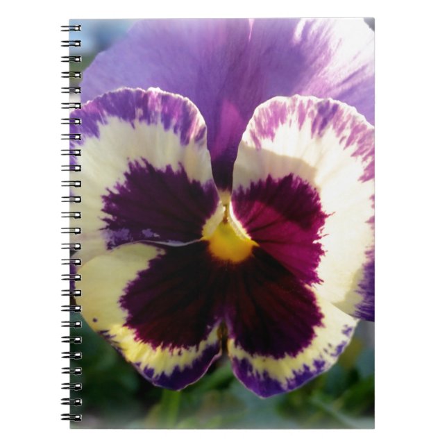 färglös vår Pansy Anteckningsbok (Framsidan)