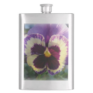 färglös vår Pansy Fickplunta