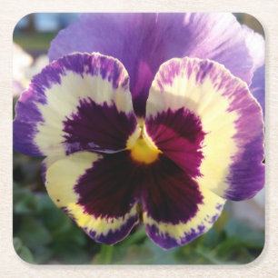 färglös vår Pansy Underlägg Papper Kvadrat