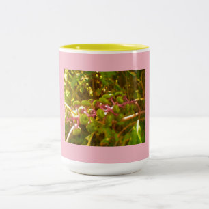 Färglös Vild Bläck Berries Bläck Bloom Två-Tonad Mugg