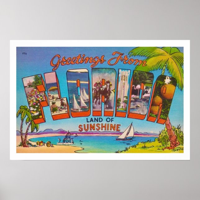 Färglös Vintage Florida Hälsning Skriv ut Poster (Framsidan)