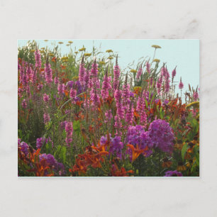 Färglösa Vild Blommor DIY vykort