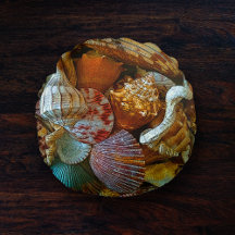 Färglöst Abstrakt Seashells Beach-tema