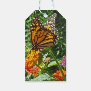 Färglöst brant Orange, monarch Butterfly Flower Presentetikett