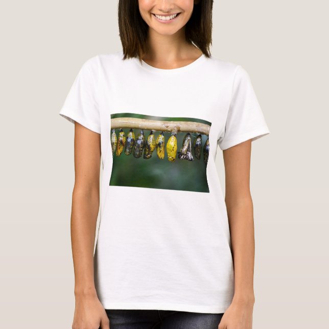 Färglöst Cocoon Life T Shirt (Framsida)