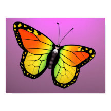 Färglöst fjäril poster