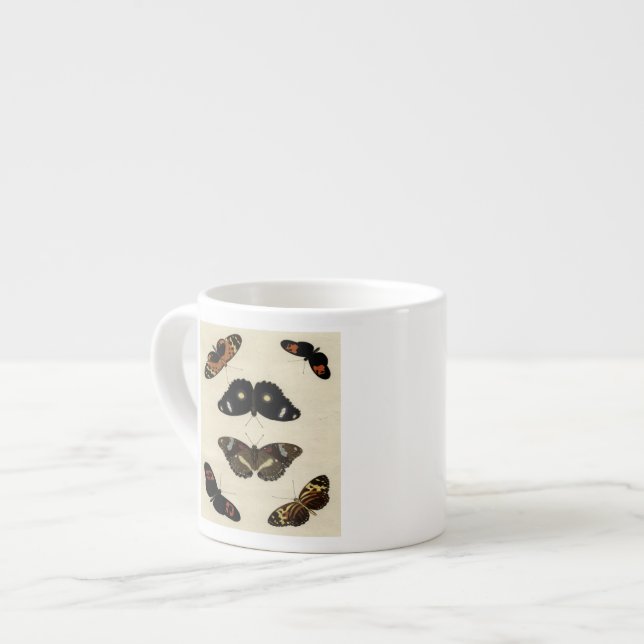 Färglöst fjärilsmussel på Cream-bakgrunden Espressomugg (Framsida vänster)