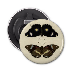 Färglöst fjärilsmussel på Cream-bakgrunden Flasköppnare