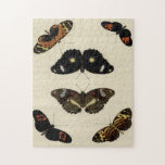 Färglöst fjärilsmussel på Cream-bakgrunden Pussel<br><div class="desc">En livligt färglös butterfly-medley placerad över en gräddbakgrund. Varje insekt ritas med mycket detaljerade detaljer som fångar skönheten och essensen hos varje unik varelse. En underbar gåva till fjärilen älskare i ditt liv!</div>