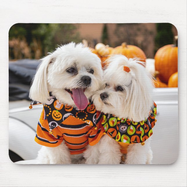 Färglöst Hundar-musknapp Musmatta (Framsidan)