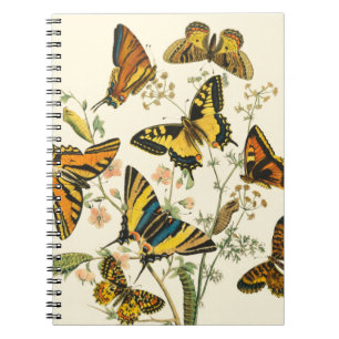 Färglöst isbildning av fjärilar och vattenpelare anteckningsbok med spiral