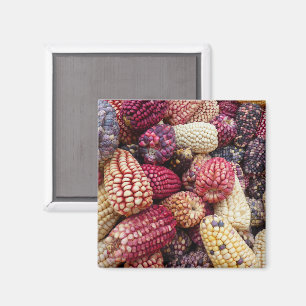 Färglöst majsmagnet magnet