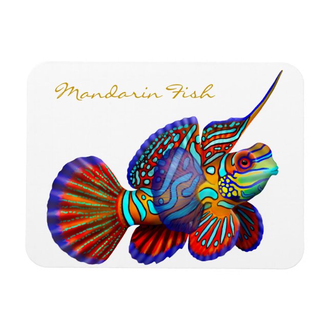 Färglöst mandarin Goby Reef Fish Premium Flexi Mag Magnet (Horisontell)