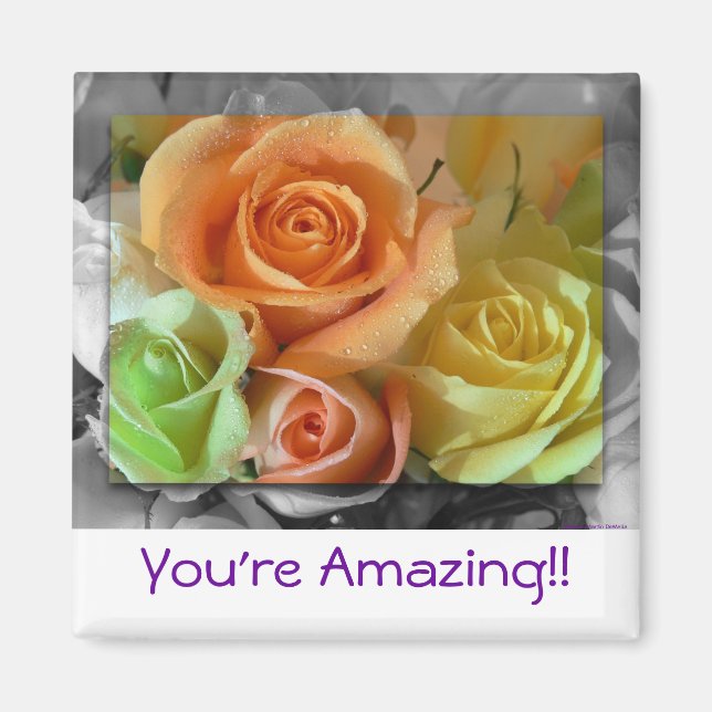 Färglöst Ro-magnet Magnet (Framsidan)