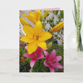 Färglöst Rosa Lily blommigt Flower Photo Card Kort