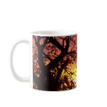 Färglöst solnedgång genom Bare Träd