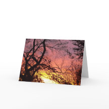 Färglöst solnedgång genom Bare Träd