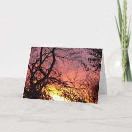 Färglöst solnedgång genom Bare Träd Kort