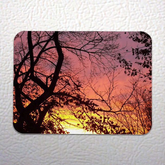 Färglöst solnedgång genom Bare Träd Magnet (Colorful Sunset Through Bare Trees Magnet on White Fridge)