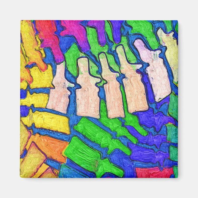 Färglöst spindelfärgsmagnet magnet (Framsidan)