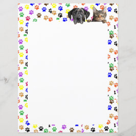 Färglöst Tass avtryck med Hund och Kat 8,5 x 11