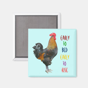 Färglöst Tupp-magnet Magnet