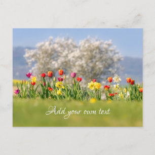 Färglöst Vår blommor med tulips och diffodils Vykort