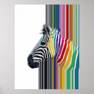 Färglöst Vibrant Rand Zebra-målning Poster
