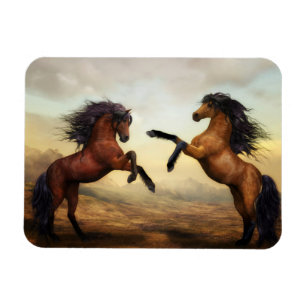 Färgmagnet Dueling Stallions Magnet