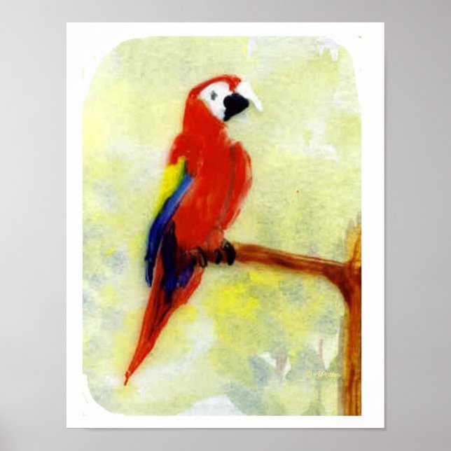 Färgmålande Macaw Parrot Poster (Framsidan)
