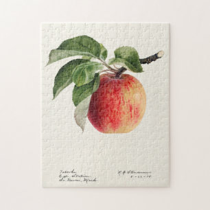 Färgmålning av frukt (Malus Domestica) Pussel