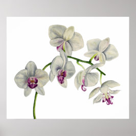 Färgmålning för orchid Watercolor Poster