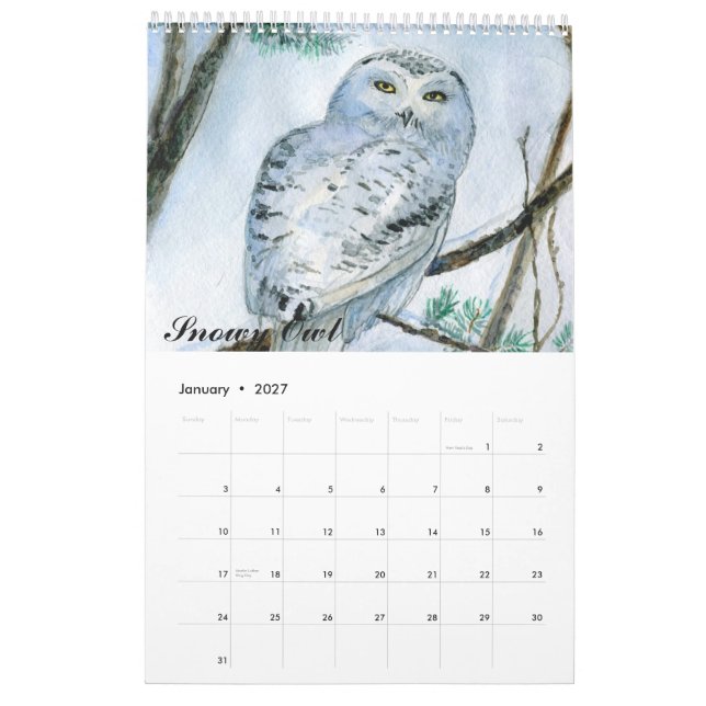 Färgmålningar för uggla, kalender 2015-stängningar (Jan 2027)
