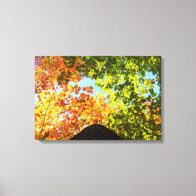 Färgmassor Canvastryck (Framsida)