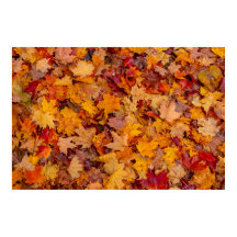 Färgmatta, Ontario, Kanada