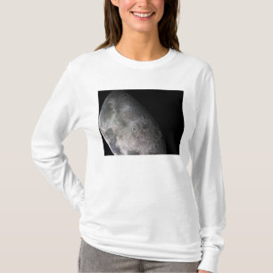 Färgmosaik av jord måne tee