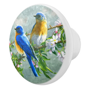 Färgning av blå Gult Birds Cherry Blommar Träd Knopp