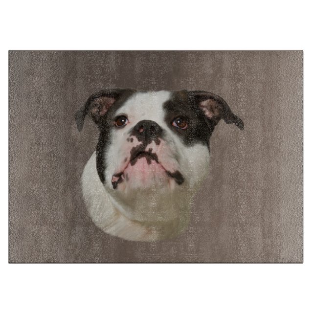 Färgning av Bulldog Vatten Färg Art (Framsidan)