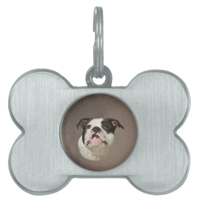Färgning av Bulldog Vatten Färg Art ID-bricka Husdjur (Framsidan)